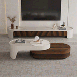 Modern TV Stand with Storage Media Console