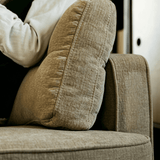 Mid-Century Lounge Sofa with Wood Legs and Back Cushion