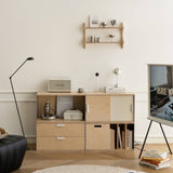 Modular Storage Cabinet with Drawers and Shelves