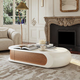 Modern Pebble Curved Coffee Table with Storage