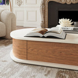 Modern Pebble Curved Coffee Table with Storage