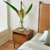 Solid Wood Nightstand with 2 Storage Cabinets