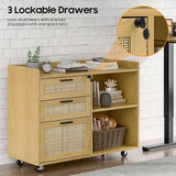 3 Rattan Drawer Lateral Filing Storage Cabinets with Lock