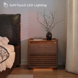 2-Drawer Bedroom Nightstand With LED Lighting