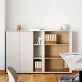 Modern File Cabinet with Glass Doors and Closed Compartments