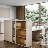 Modern File Cabinet with Glass Doors and Closed Compartments