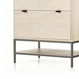 Modern 2-Drawer Filing Cabinet with Open Shelf and Metal Base