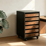 Mobile File Cabinet with Multiple Drawers for Home Office