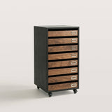Mobile File Cabinet with Multiple Drawers for Home Office