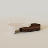 Modern Extendable Coffee Table