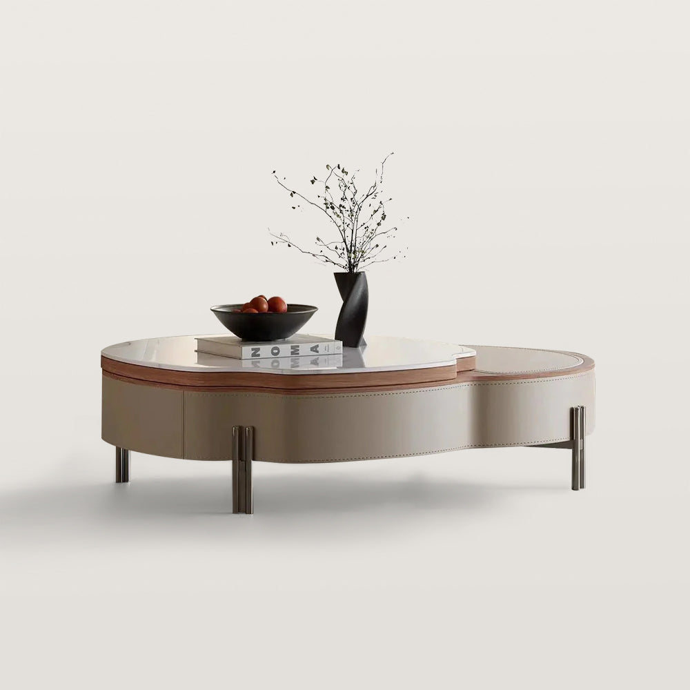 Modern Living Room Coffee Table with Storage