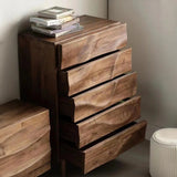 Modern 5 Drawers Dresser Chests Drawer Organizer