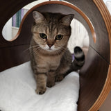 Wooden Pet Bed Cozy Cat Cave Bed