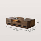 Modern Wood Coffee Table with Storage Space